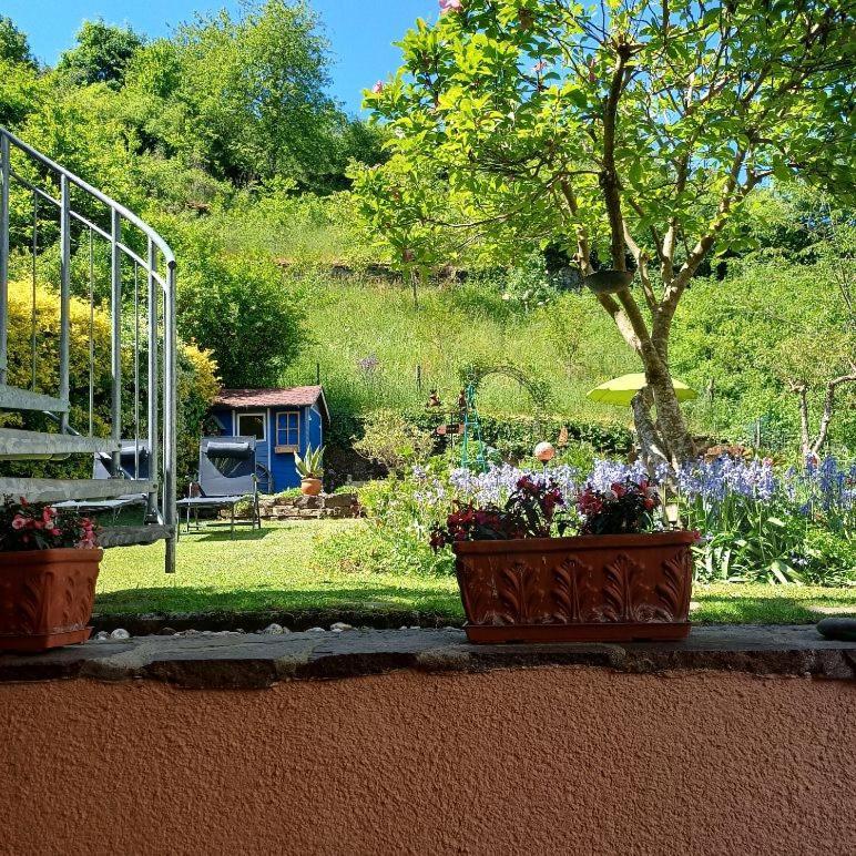 Ferienwohnung Haus Bleser โคเคห์ม ภายนอก รูปภาพ